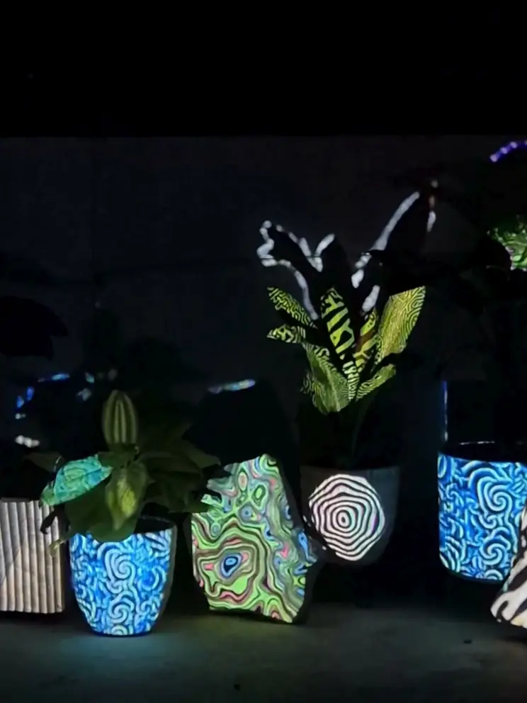 Planters and rocks lit with projected patterns at the projection-mapping workshop